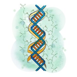 الصفات الوراثية التي تنتقل للأبناء ، والامراض الوراثية